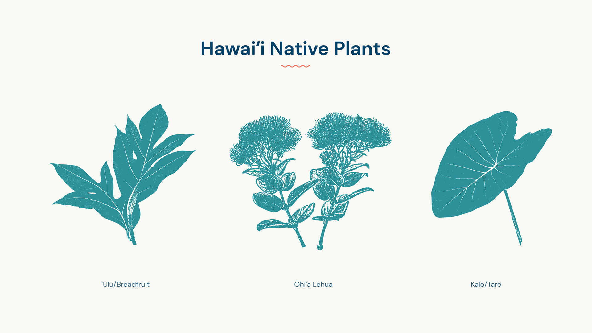 Graphics of Hawai'i and Oregon native plants.