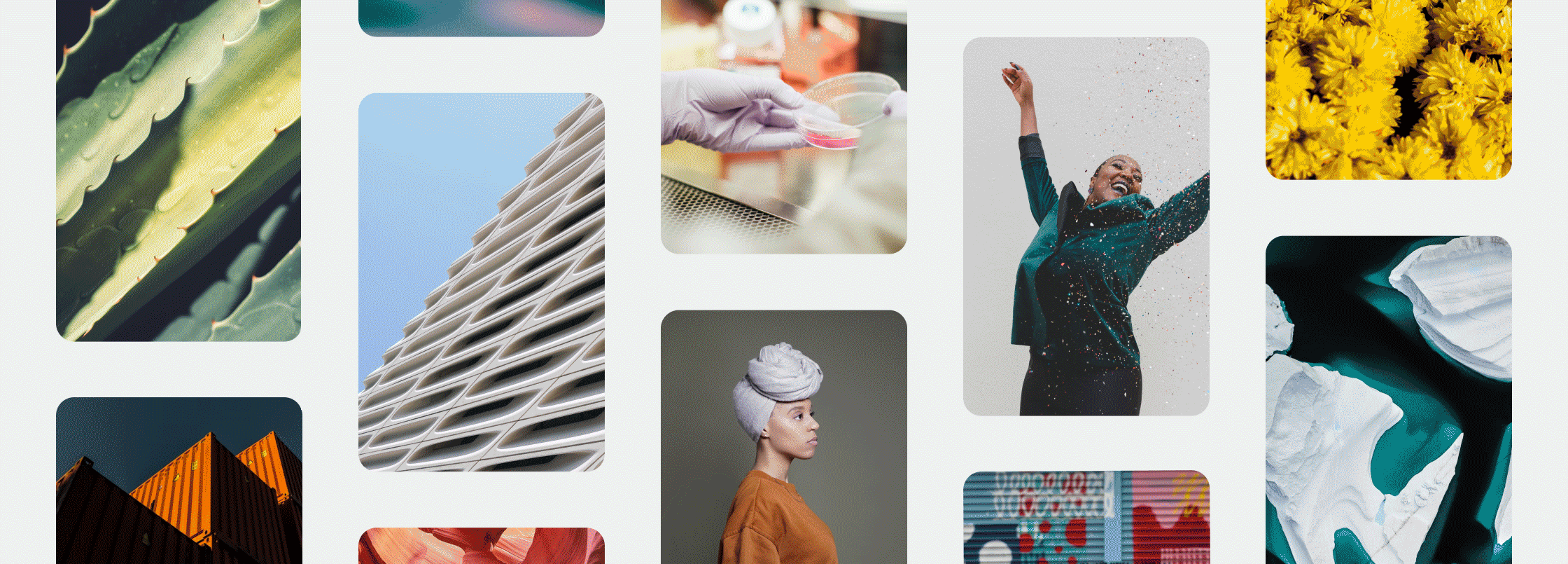 A grid layout of various stock photo images of people, plants, and places.