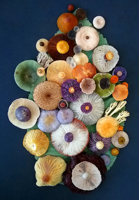 A colorful bouquet of multi colored mushrooms.