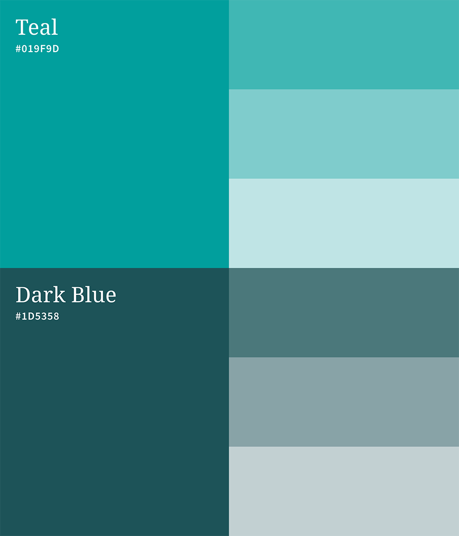 The Boston University CPR website color palette.