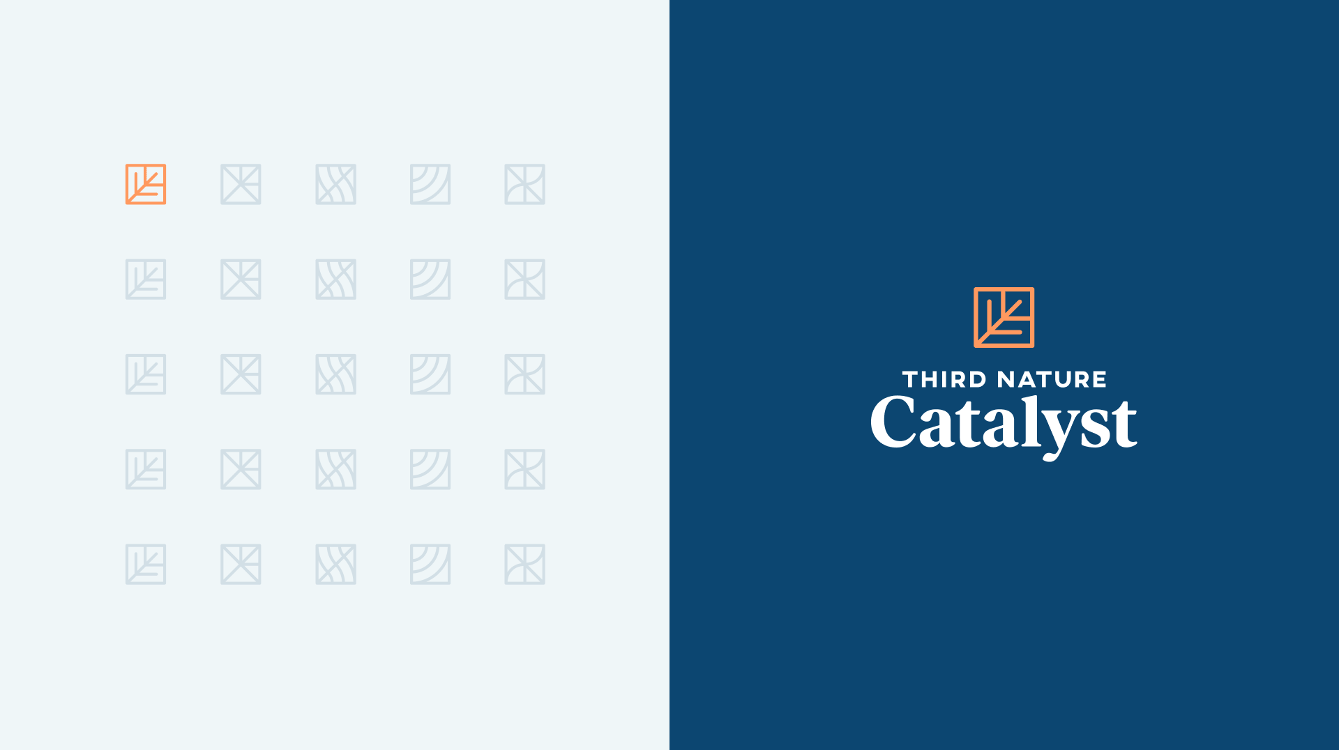 Third Nature Catalyst subbrand, including the logo and icon.