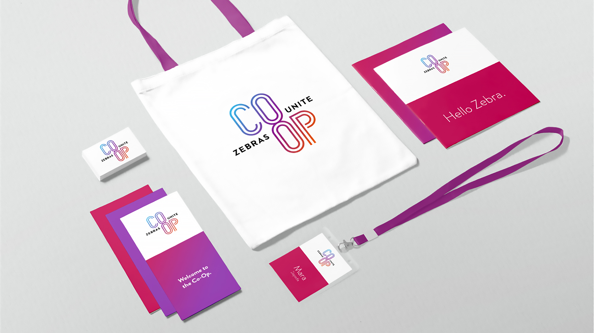 A collection of branded marketing materials: tote bag, name tags, brochures, business cards, and booklet designs.