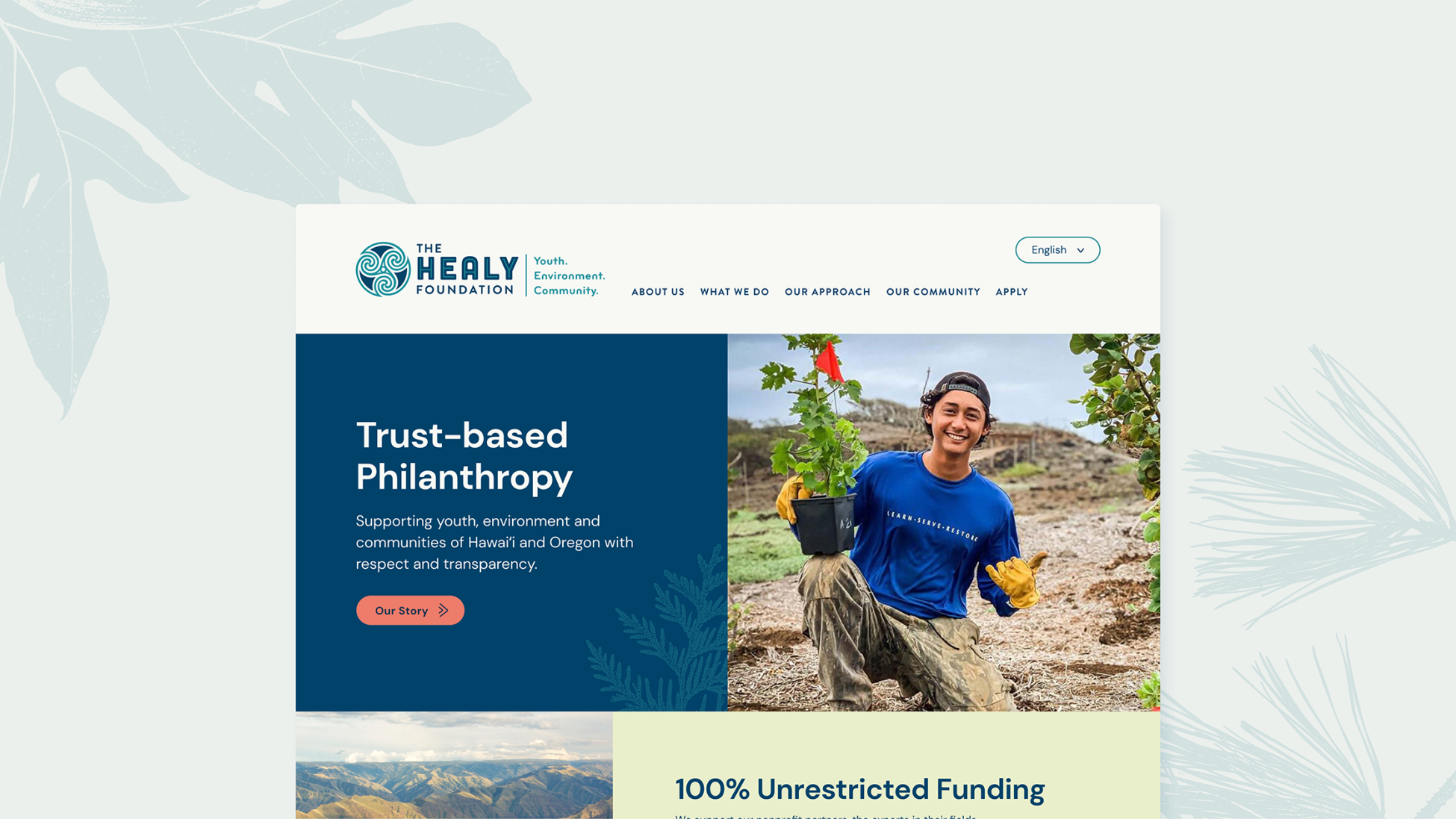 Screenshot of The Healy Foundation website homepage.
